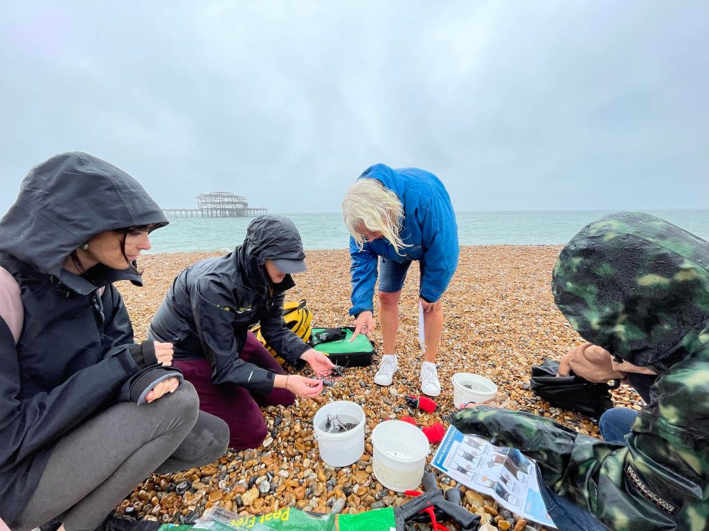 2 team members are showing different kinds of mermaids purses in buckets to 3 volunteers on Brighton beach. The pier is in the background
