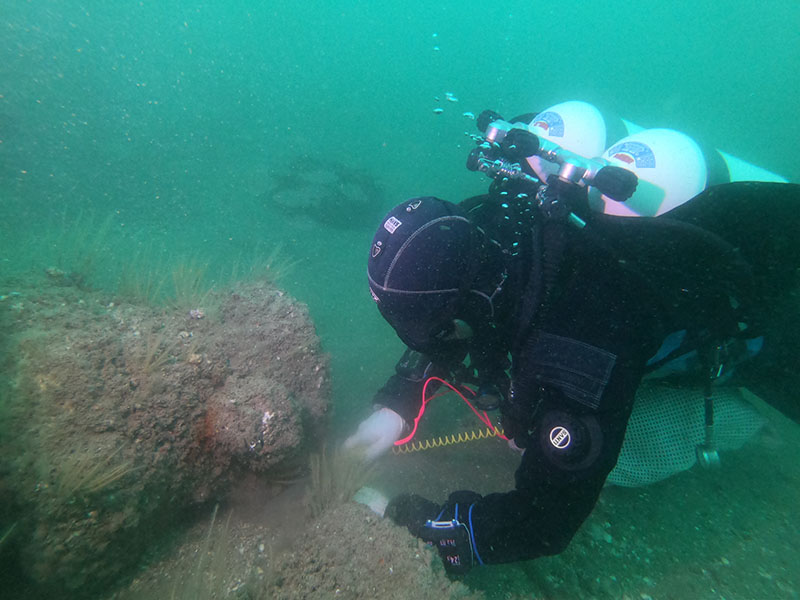 Scuba Diver is untangling discarded fishing gear from the sea bed